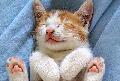 ht mien cuki...