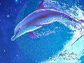 delfin