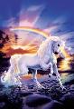 Under the Rainbow there is a little miracle